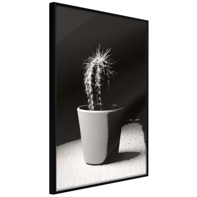 Poster Disheveled Cactus - black and white photograph of a tropical cactus 125275 additionalImage 10