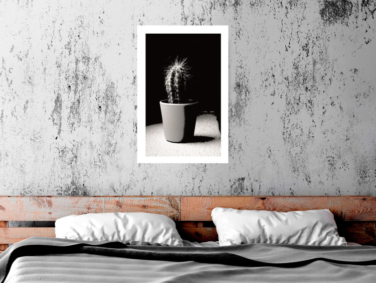 Poster Disheveled Cactus - black and white photograph of a tropical cactus 125275 additionalImage 2