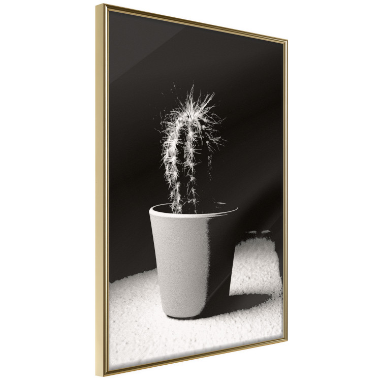 Poster Disheveled Cactus - black and white photograph of a tropical cactus 125275 additionalImage 12