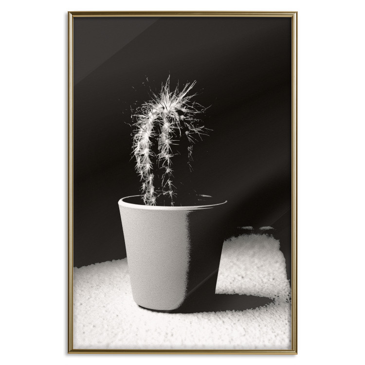 Poster Disheveled Cactus - black and white photograph of a tropical cactus 125275 additionalImage 16