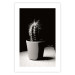Poster Disheveled Cactus - black and white photograph of a tropical cactus 125275 additionalThumb 19