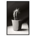 Poster Disheveled Cactus - black and white photograph of a tropical cactus 125275 additionalThumb 18