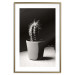 Poster Disheveled Cactus - black and white photograph of a tropical cactus 125275 additionalThumb 14