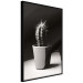 Poster Disheveled Cactus - black and white photograph of a tropical cactus 125275 additionalThumb 10