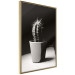 Poster Disheveled Cactus - black and white photograph of a tropical cactus 125275 additionalThumb 12