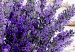 Wall Poster Lavender Bouquet - purple flowers in pot on background of wooden planks 128075 additionalThumb 11