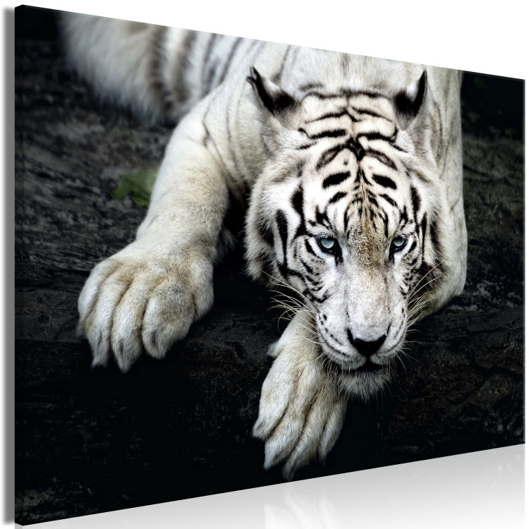 Canvas Menacing Look (1-part) wide - first variant - tiger 128775 additionalImage 2