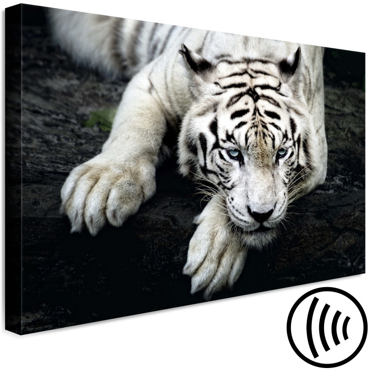 Canvas Menacing Look (1-part) wide - first variant - tiger 128775 additionalImage 6