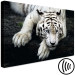 Canvas Menacing Look (1-part) wide - first variant - tiger 128775 additionalThumb 6