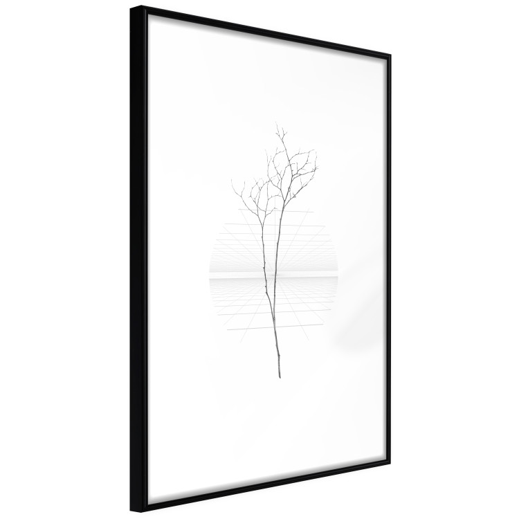 Poster Winter Twig - black and thin plant on a plain white background 129775 additionalImage 8