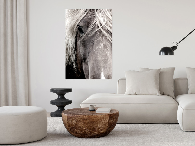 Wall Poster Free Spirit - black and white portrait of a horse with a clearly visible face 130275 additionalImage 2