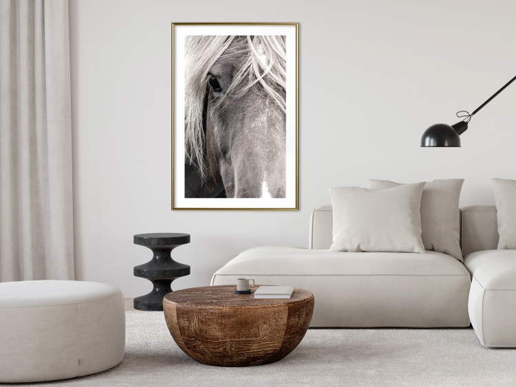Wall Poster Free Spirit - black and white portrait of a horse with a clearly visible face 130275 additionalImage 13
