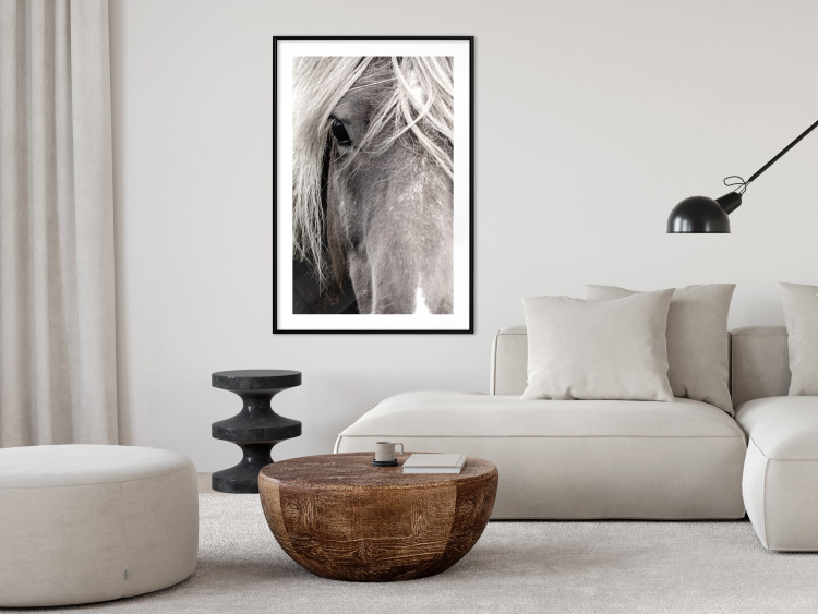 Wall Poster Free Spirit - black and white portrait of a horse with a clearly visible face 130275 additionalImage 18