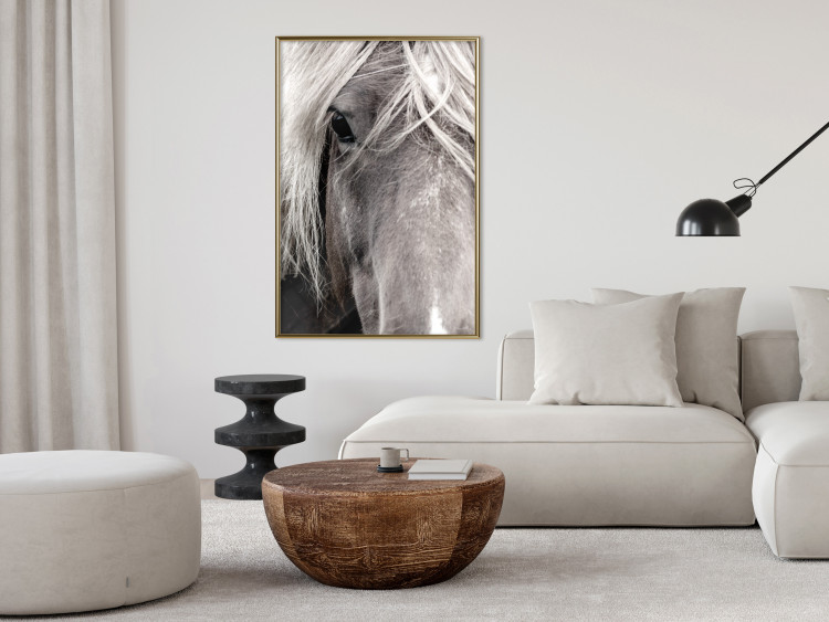 Wall Poster Free Spirit - black and white portrait of a horse with a clearly visible face 130275 additionalImage 5