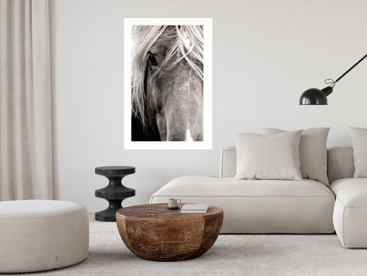 Wall Poster Free Spirit - black and white portrait of a horse with a clearly visible face 130275 additionalImage 3