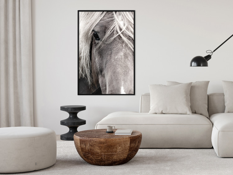Wall Poster Free Spirit - black and white portrait of a horse with a clearly visible face 130275 additionalImage 4