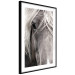 Wall Poster Free Spirit - black and white portrait of a horse with a clearly visible face 130275 additionalThumb 6