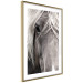 Wall Poster Free Spirit - black and white portrait of a horse with a clearly visible face 130275 additionalThumb 7