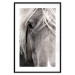 Wall Poster Free Spirit - black and white portrait of a horse with a clearly visible face 130275 additionalThumb 15