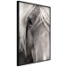 Wall Poster Free Spirit - black and white portrait of a horse with a clearly visible face 130275 additionalThumb 11