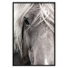 Wall Poster Free Spirit - black and white portrait of a horse with a clearly visible face 130275 additionalThumb 16