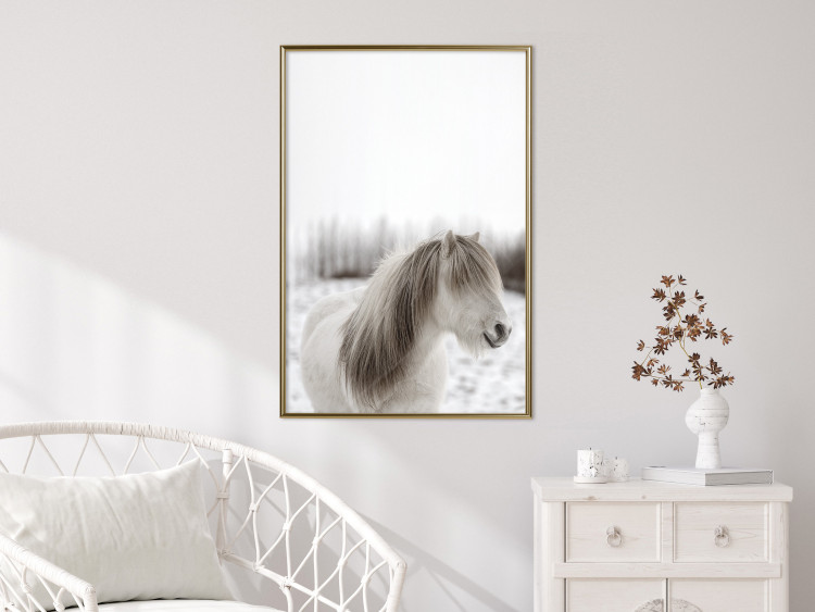 Wall Poster Horse Mane - white horse with a lot of hair against a winter forest 130375 additionalImage 5