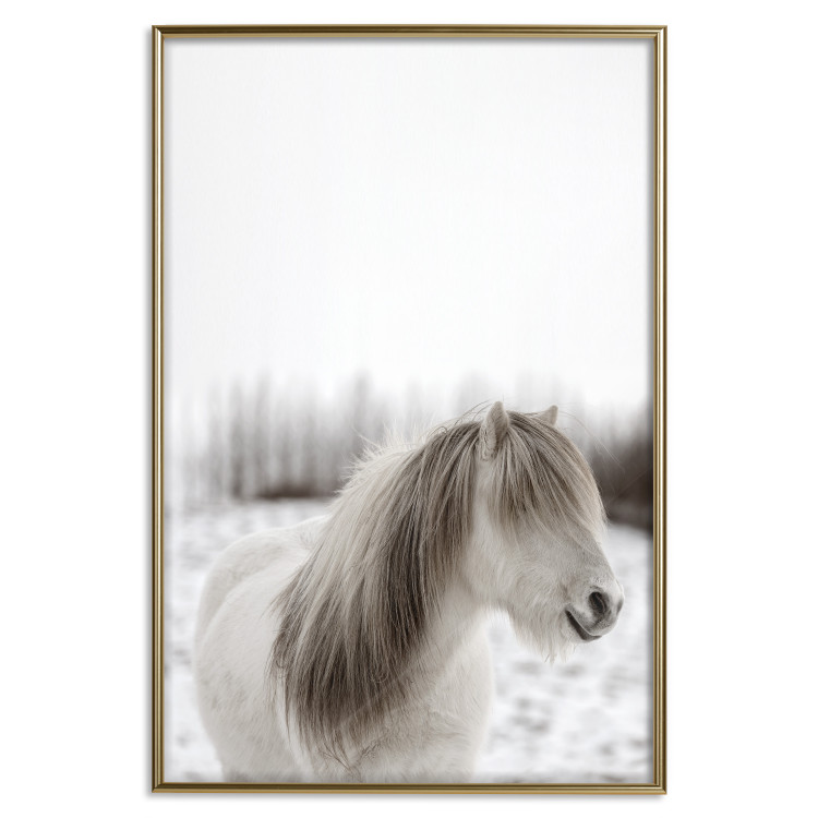 Wall Poster Horse Mane - white horse with a lot of hair against a winter forest 130375 additionalImage 16