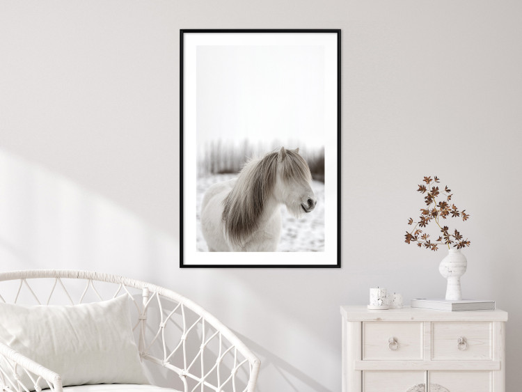 Wall Poster Horse Mane - white horse with a lot of hair against a winter forest 130375 additionalImage 18