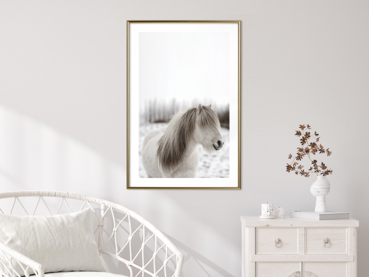 Wall Poster Horse Mane - white horse with a lot of hair against a winter forest 130375 additionalImage 13