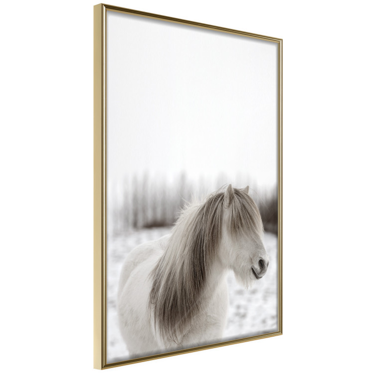 Wall Poster Horse Mane - white horse with a lot of hair against a winter forest 130375 additionalImage 12