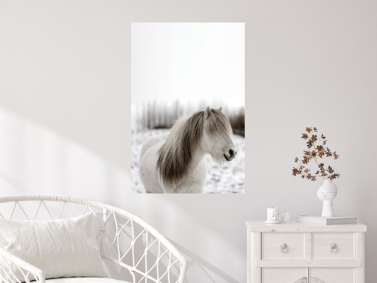 Wall Poster Horse Mane - white horse with a lot of hair against a winter forest 130375 additionalImage 2