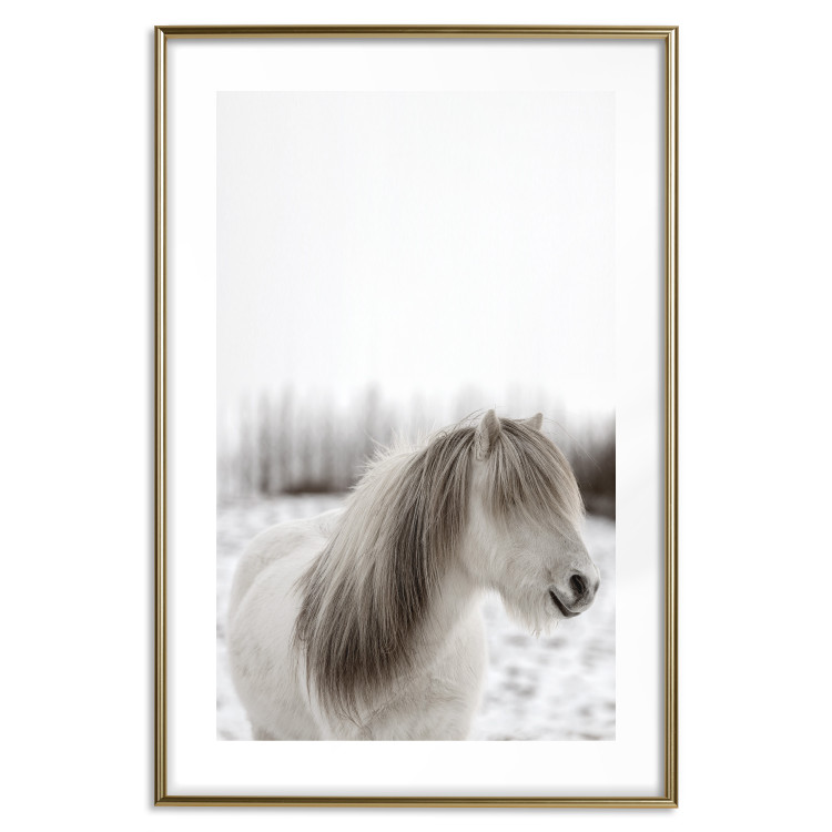 Wall Poster Horse Mane - white horse with a lot of hair against a winter forest 130375 additionalImage 19