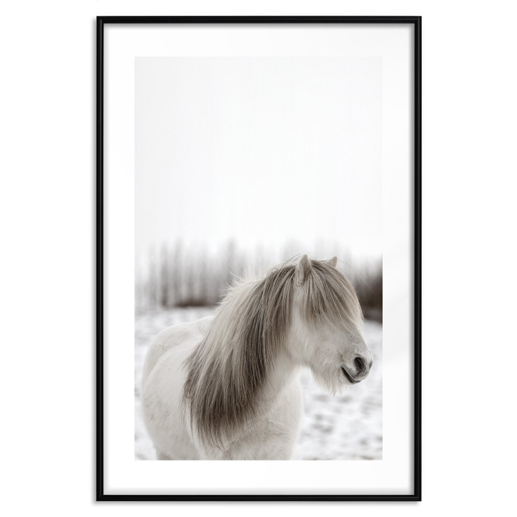 Wall Poster Horse Mane - white horse with a lot of hair against a winter forest 130375 additionalImage 20