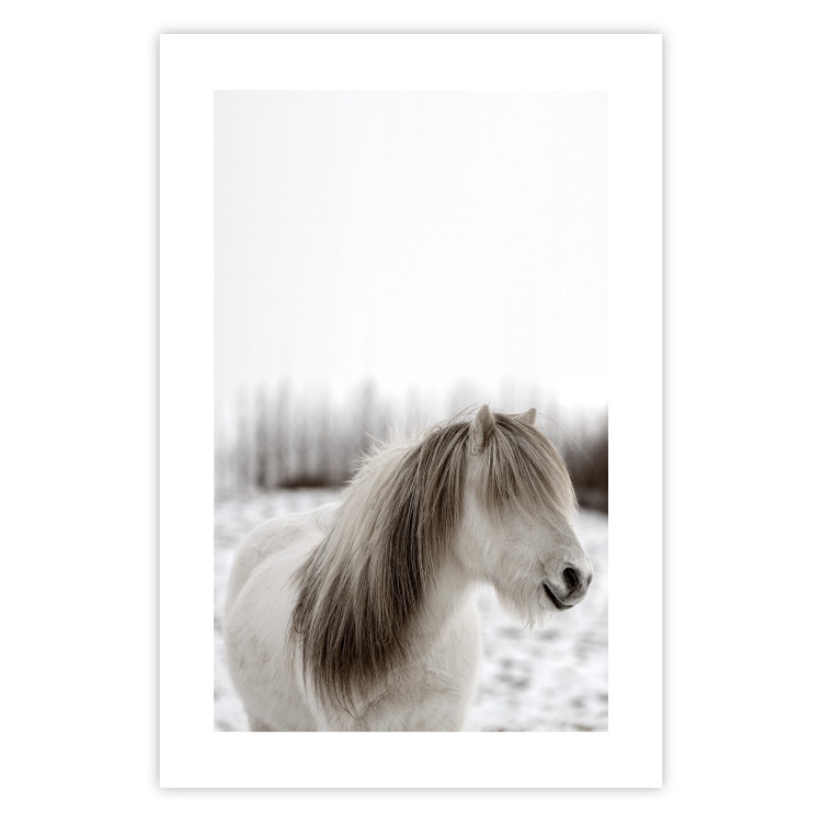 Wall Poster Horse Mane - white horse with a lot of hair against a winter forest 130375 additionalImage 15