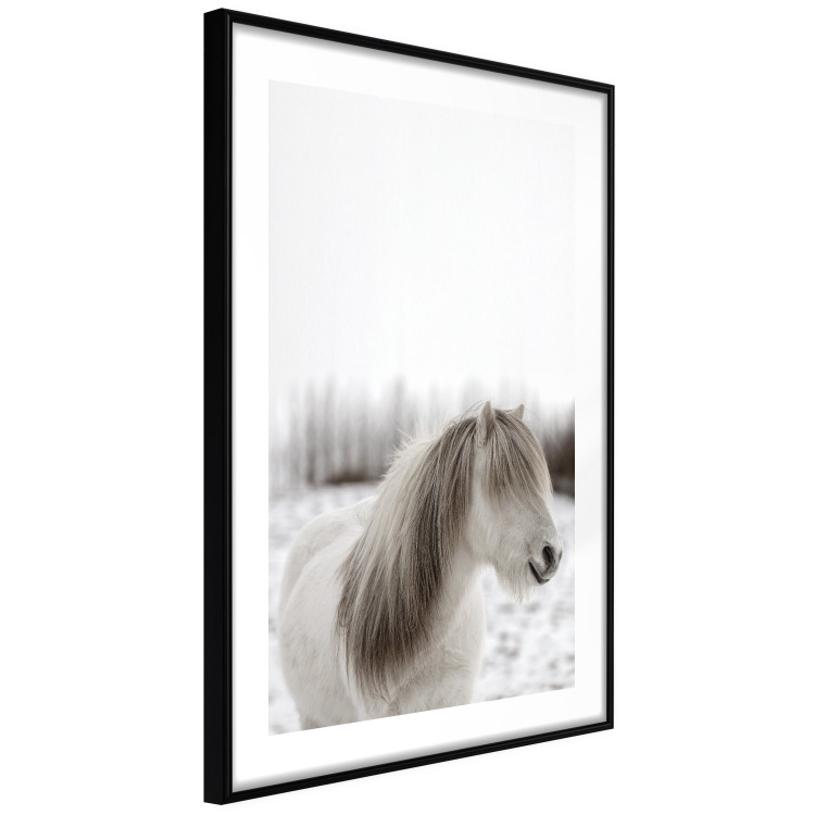 Wall Poster Horse Mane - white horse with a lot of hair against a winter forest 130375 additionalImage 6
