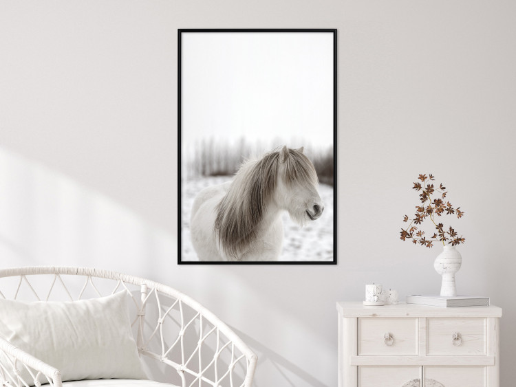 Wall Poster Horse Mane - white horse with a lot of hair against a winter forest 130375 additionalImage 4