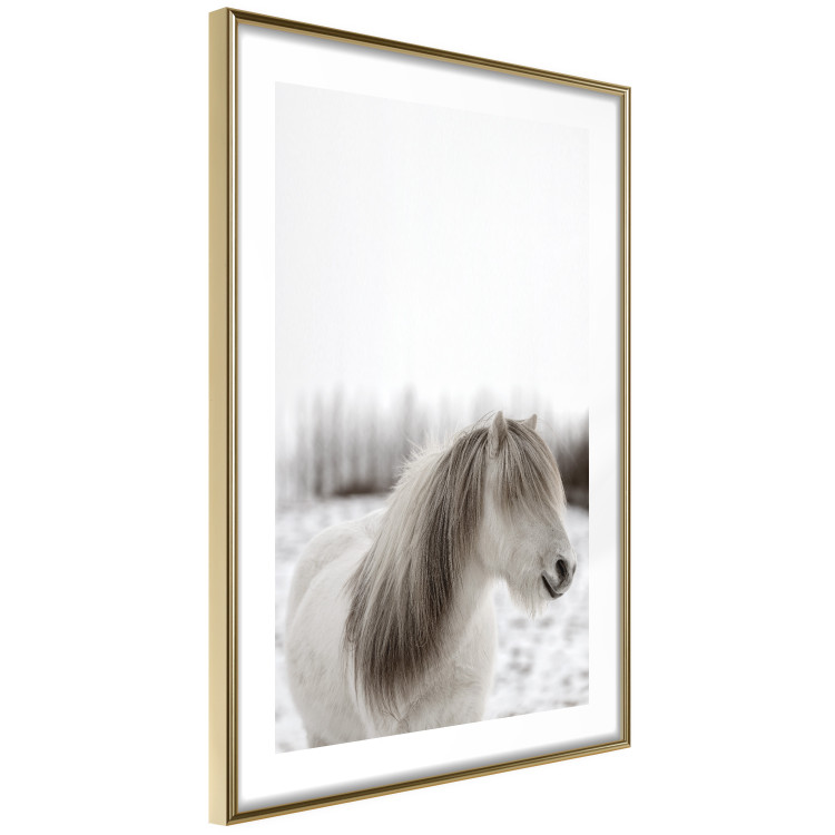 Wall Poster Horse Mane - white horse with a lot of hair against a winter forest 130375 additionalImage 7