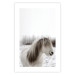 Wall Poster Horse Mane - white horse with a lot of hair against a winter forest 130375 additionalThumb 15