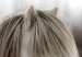 Wall Poster Horse Mane - white horse with a lot of hair against a winter forest 130375 additionalThumb 10