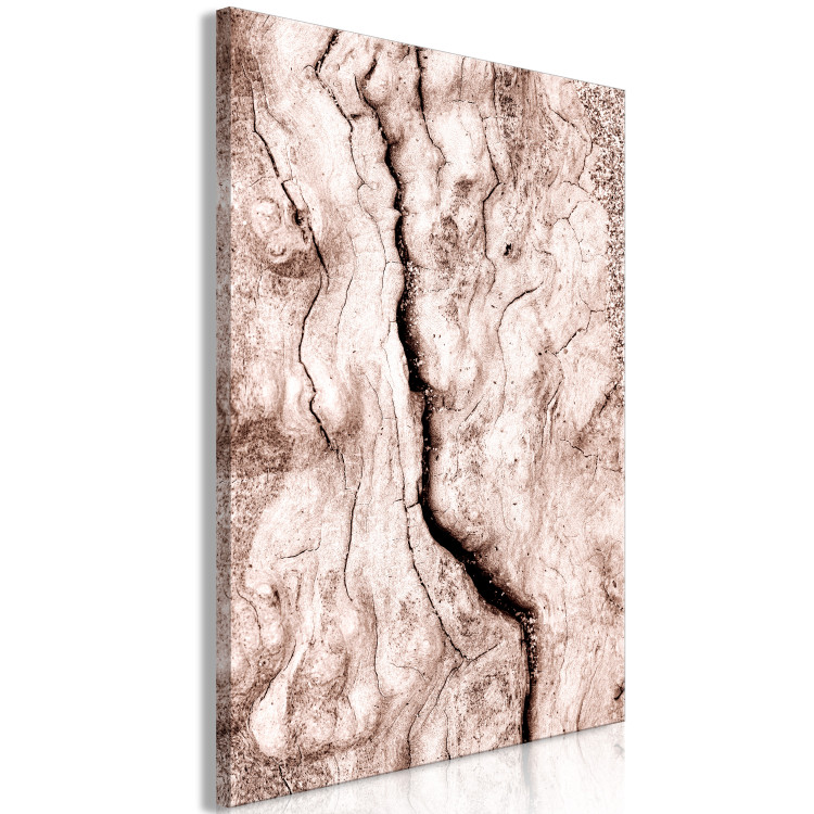 Canvas Art Print Tree bark - black and white closeup on a bright bark 135275 additionalImage 2