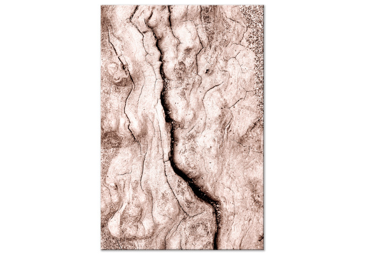 Canvas Art Print Tree bark - black and white closeup on a bright bark 135275