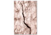 Canvas Art Print Tree bark - black and white closeup on a bright bark 135275
