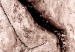 Canvas Art Print Tree bark - black and white closeup on a bright bark 135275 additionalThumb 4
