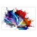 Poster Horizontal Color Spot - a full rainbow shades abstraction on white 137175