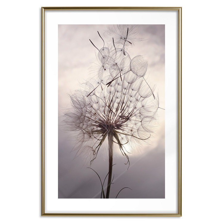 Wall Poster Divided Moment - delicate dandelion flowers on an evening sky 137275 additionalImage 3