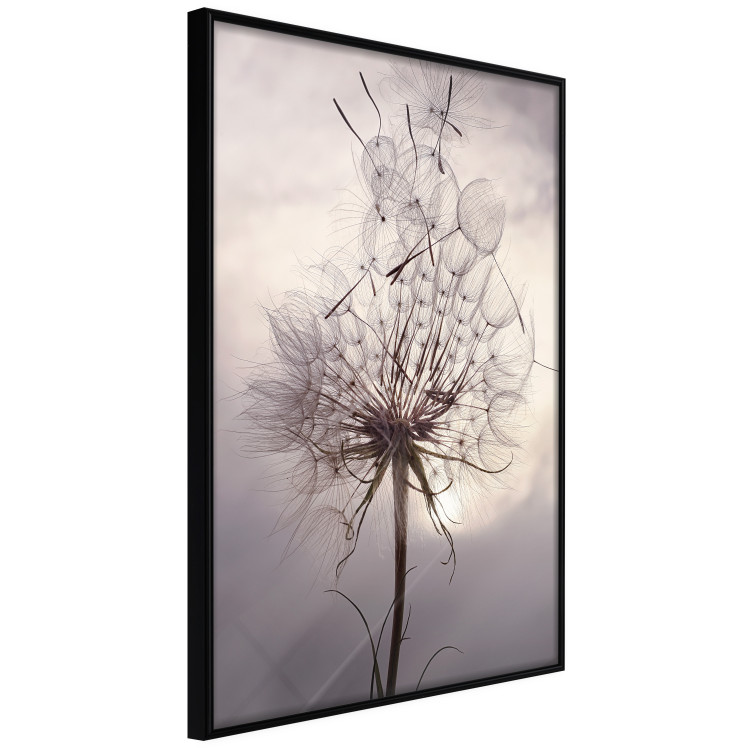 Wall Poster Divided Moment - delicate dandelion flowers on an evening sky 137275 additionalImage 17