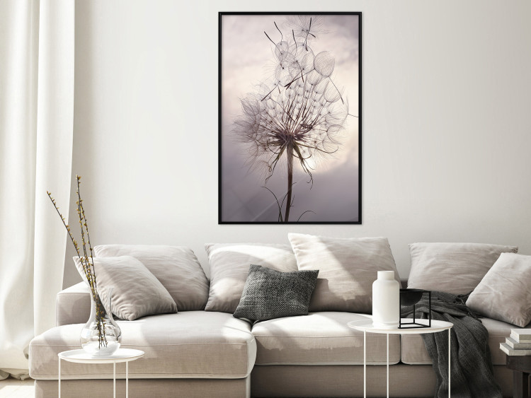 Wall Poster Divided Moment - delicate dandelion flowers on an evening sky 137275 additionalImage 13