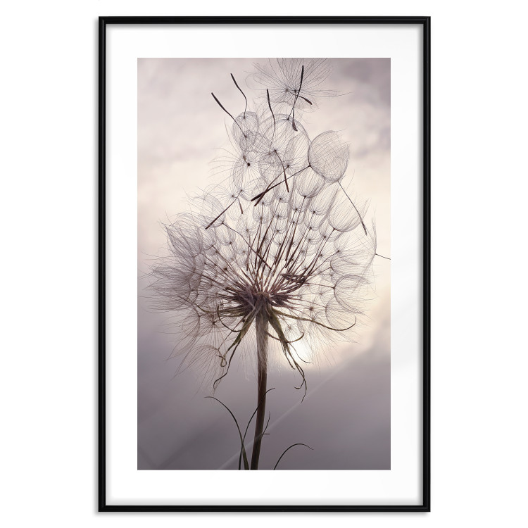 Wall Poster Divided Moment - delicate dandelion flowers on an evening sky 137275 additionalImage 2