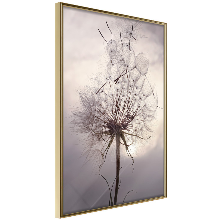 Wall Poster Divided Moment - delicate dandelion flowers on an evening sky 137275 additionalImage 16