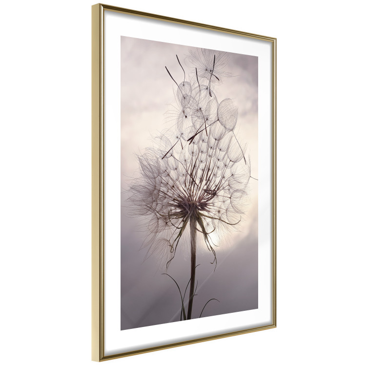 Wall Poster Divided Moment - delicate dandelion flowers on an evening sky 137275 additionalImage 14